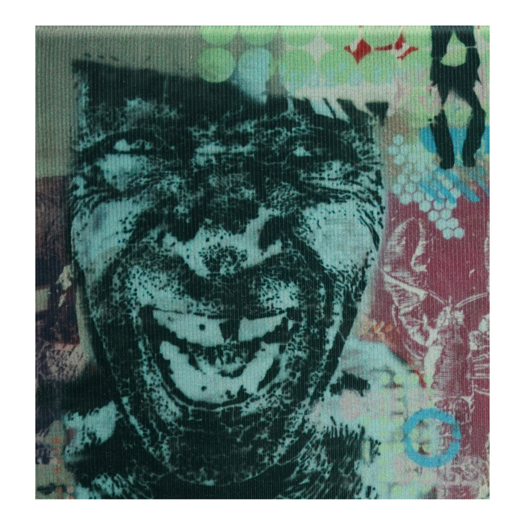 Buenos Aires Street Art No.2 (Photograph Printed On Canvas)